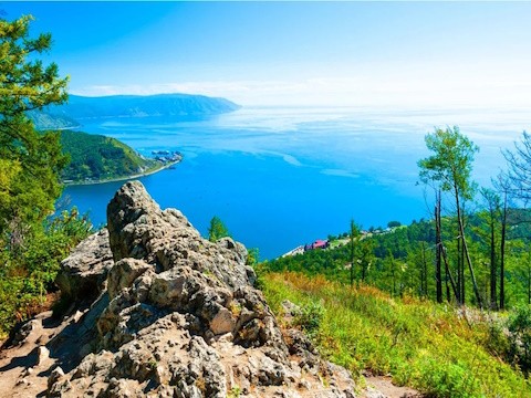 Главная